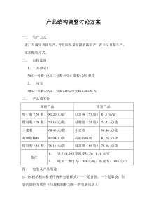 新产品生产方案