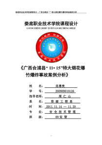 1广西合浦县“1115”特大烟花爆竹爆炸事故案例分析