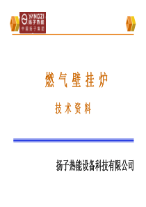 扬子壁挂炉培训资料