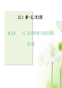 21.2.4_一元二次方程的根与系数的关系(复习课件)