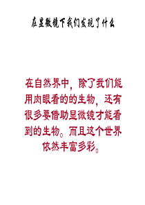 在显微镜下我们发现了什么