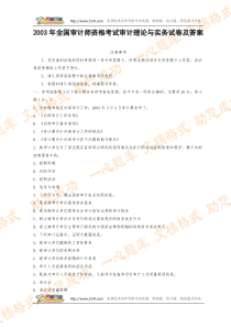 2003年全国审计师资格考试审计理论与实务试卷及答案