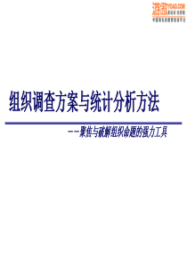 组织调查方案与统计分析方法(PPT 28页)