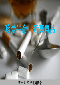 “珍爱生命-远离毒品”最新主题班会