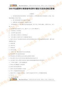 2005年全国审计师资格考试审计理论与实务试卷及答案