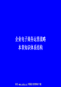 企业电子商务运营战略(ppt 41)