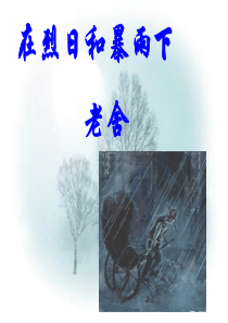 在烈日和暴雨下(实验)