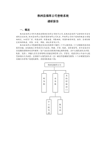 湖南烟草_BPR项目_株洲县烟草公司营销系统