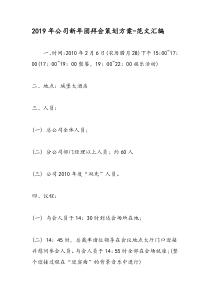 2019年公司新年团拜会策划方案-范文汇编