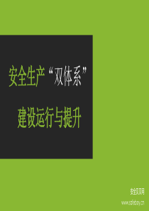 安全生产双体系建设运行与提升