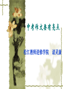 (中考作文要有亮点