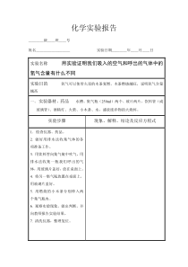 (人教版)初中化学实验报告