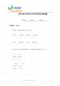 (北师大版)小学语文升学考试总复习测试题