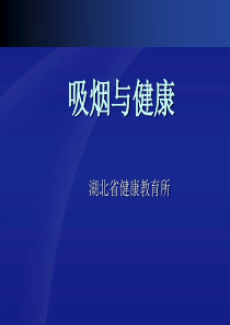 1219一柱香金矿选矿厂安全预评价(备案稿)