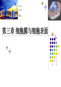 (娥)理论测试及答案7+7答案