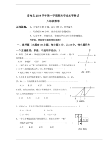 (定稿)苍南县2010八年级上数学期末试卷