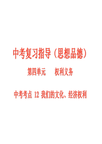 我们的文化、经济权利ppt课件