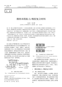 微纳米级粘土橡胶复合材料