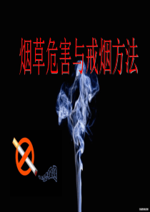 烟草危害与戒烟方法