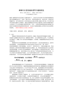 某公司塑料制品部绩效考核制度(doc 11)