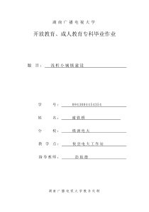 0943004454354+谢铁桥+浅析小城镇建设