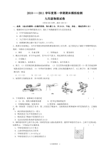 10-11九年级物理模拟测试卷