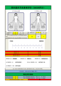 类风湿关节炎病情活动度评价表(DAS28)