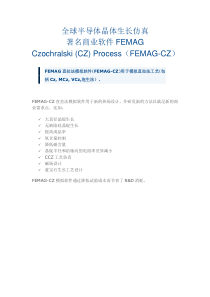 全球半导体晶体生长仿真著名商业软件FEMAG之Czochralski (CZ) Process (F