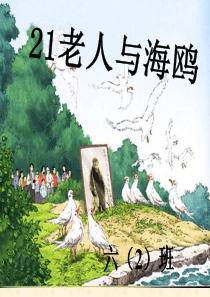 78人教版语文六年级上册21《老人与海鸥》优秀课件