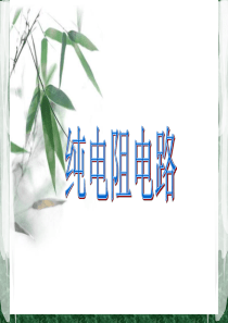 纯电阻电路