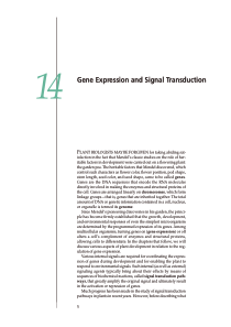 Plant Physiol Chapter 14 - Gene Expression and Sig