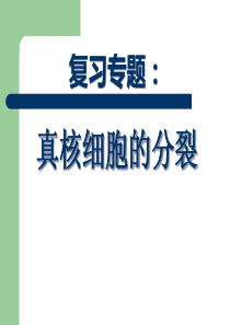 (正式)减数分裂与有丝分裂专题复习