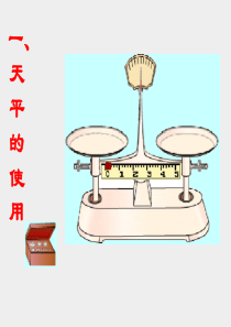 天平的使用