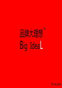 big ideal-品牌大理想