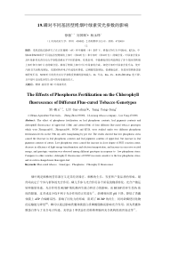 磷对不同基因型烤烟叶绿素荧光参数的影响-19磷对不同基