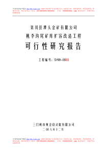 454403--栾川县潭头金矿有限公司桃李沟尾矿库扩容改造工程可行性研究