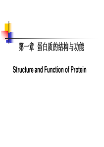 01 第一章 蛋白质的结构与功能