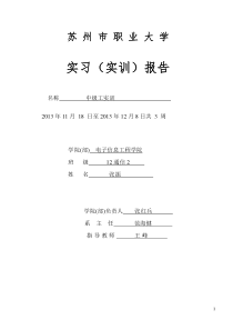 电子中级工实训报告