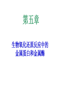 第五章 生物氧化还原反应中的金属蛋白和金属酶