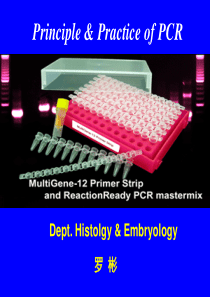 PCR-I-XXXX10-bin