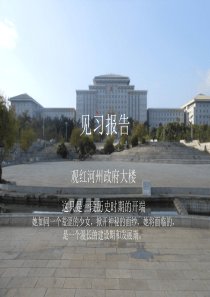 红河州 见习报告