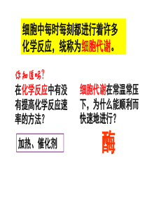 2011降低化学反应活化能的酶