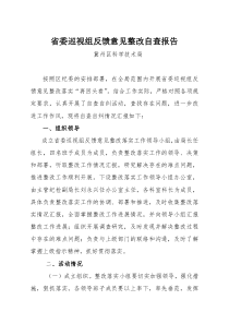 省委巡视组反馈意见整改自查报告