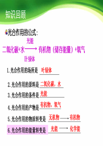 4.5.《绿色植物的呼吸作用》《绿色植物在生物圈中的作用》