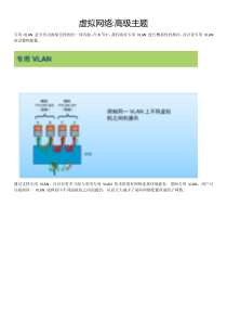 虚拟网1