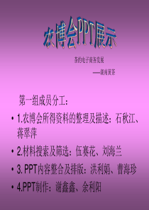 农博会-茶的电子商务发展PPT