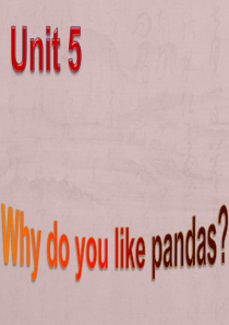 Why do you like pandasPPT