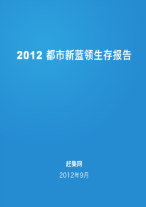 2012都市新蓝领报告-赶集网