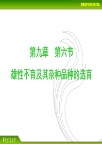 7.第九章 第六节 雄性不育在杂种优势中的利用