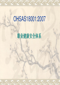 OHSAS18001职业健康安全管理体系培训